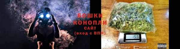 ПСИЛОЦИБИНОВЫЕ ГРИБЫ Бородино