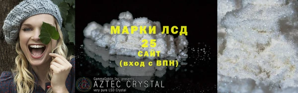 ПСИЛОЦИБИНОВЫЕ ГРИБЫ Бородино