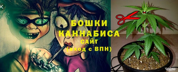 ПСИЛОЦИБИНОВЫЕ ГРИБЫ Бородино