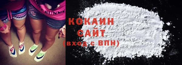 ПСИЛОЦИБИНОВЫЕ ГРИБЫ Бородино